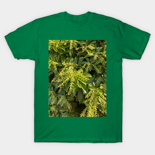 Foliage T-Shirt by Amanda1775